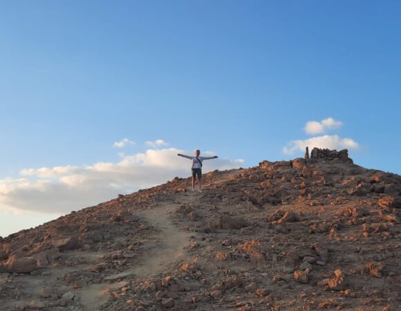 wadi melaha saafari