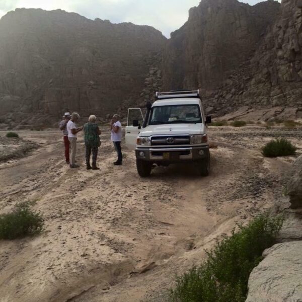 jeep Om Dalfa safari