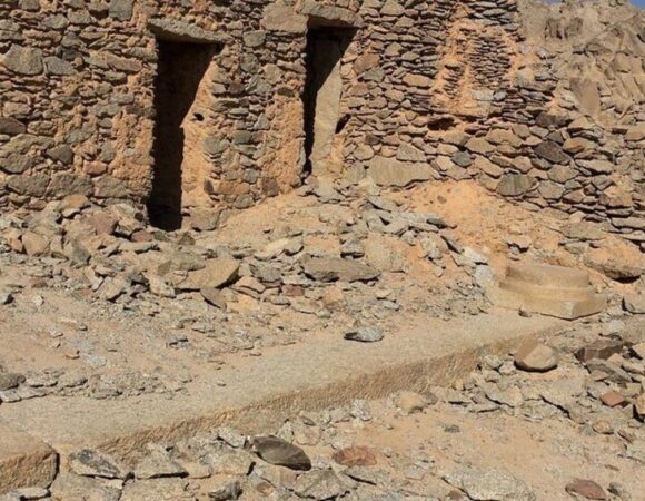roman city safari