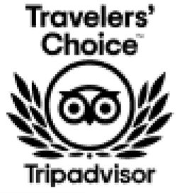 Tripadvisor Travelers' Choice 2022 — Alex Safari El Gouna