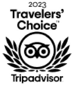 Tripadvisor Travelers' Choice 2023 — Alex Safari El Gouna